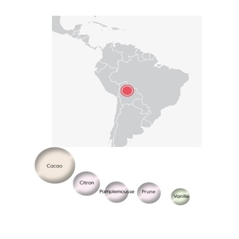 Cacao de Bolivie 68% et son profil aromatique