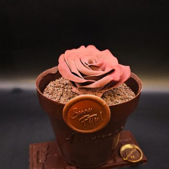 Pot de Rose - K.Pultau