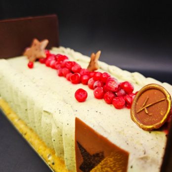 Bûche sésame & airelle -K.Pultau