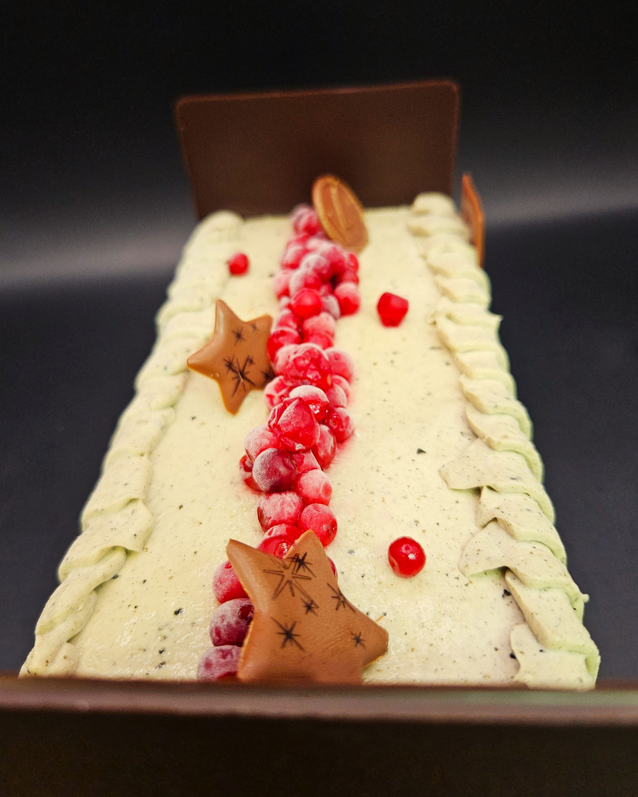 Bûche sésame & airelle -K.Pultau