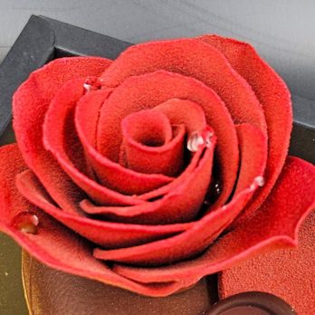 Pot de rose - K.Pultau
